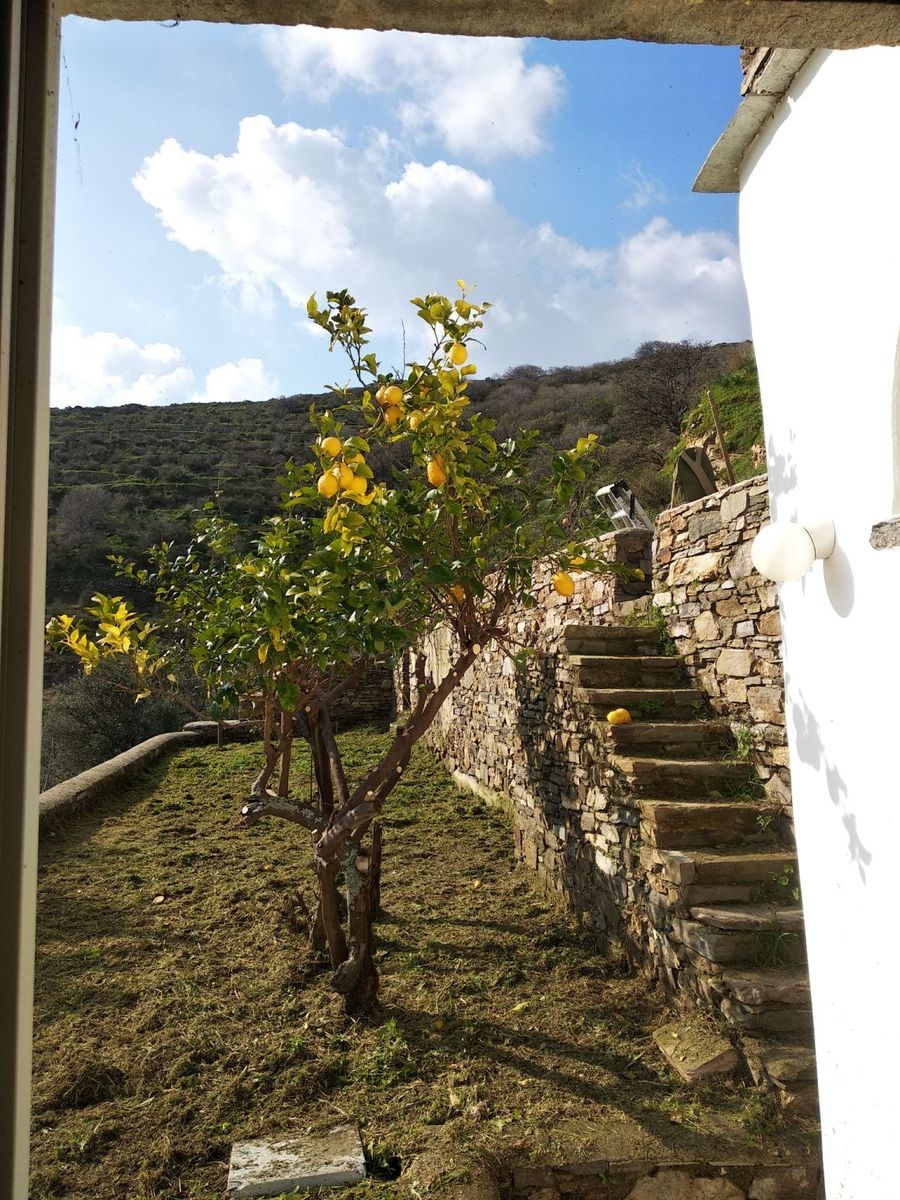 Detached house of 130 m²