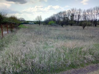 Ділянка 10 сотів. СТ "Світанок"
