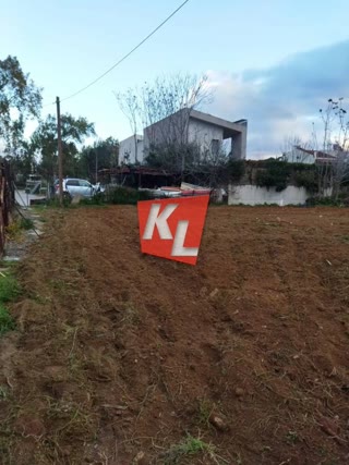 463 m² Plot