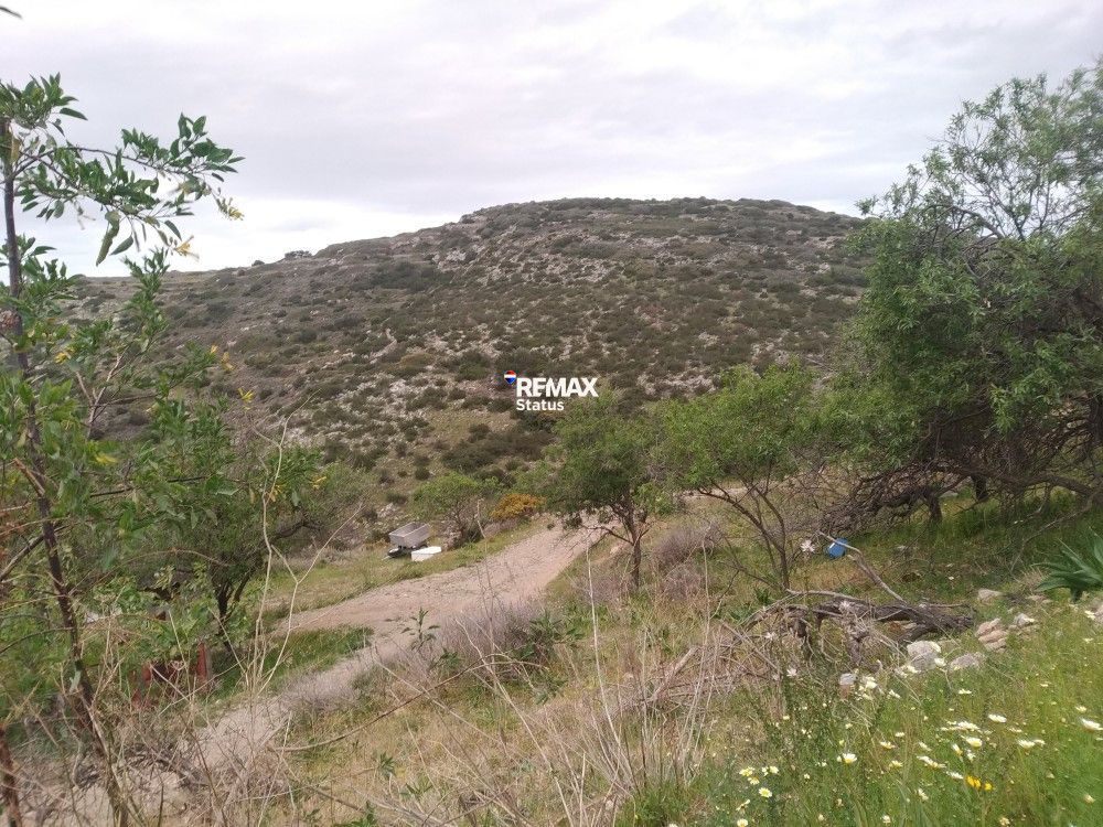 2615 m² Plot