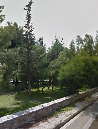 351 m² Plot