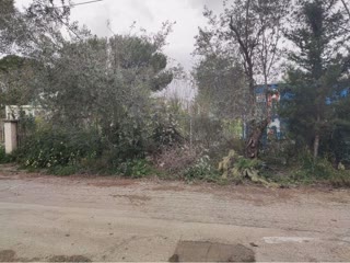 Участок 850 м²