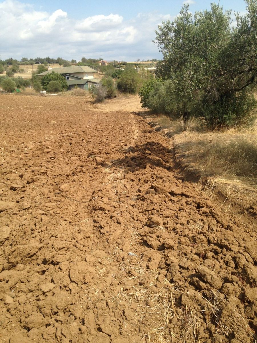 6500 m² Parcel
