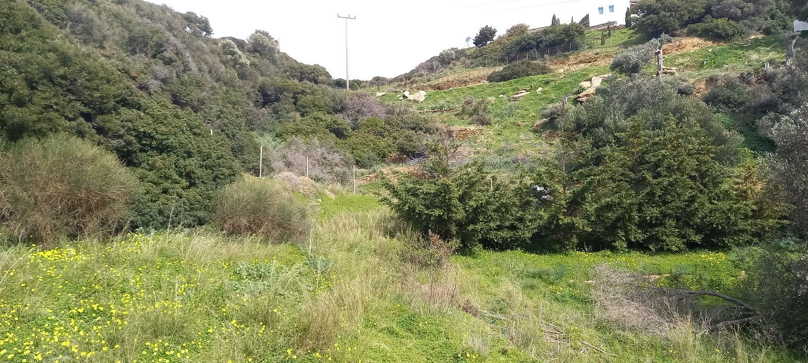 Οικόπεδο 2617 τ.μ.