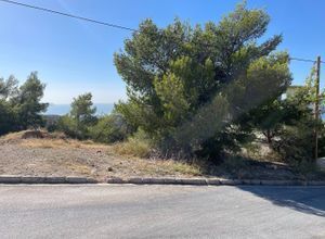 Οικόπεδο 400τ.μ.