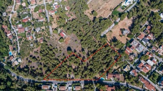 10096 m² Plot