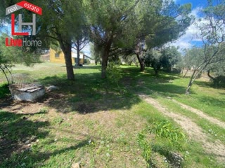 1072 m² Plot
