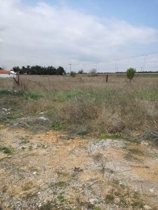 151 m² Parcel