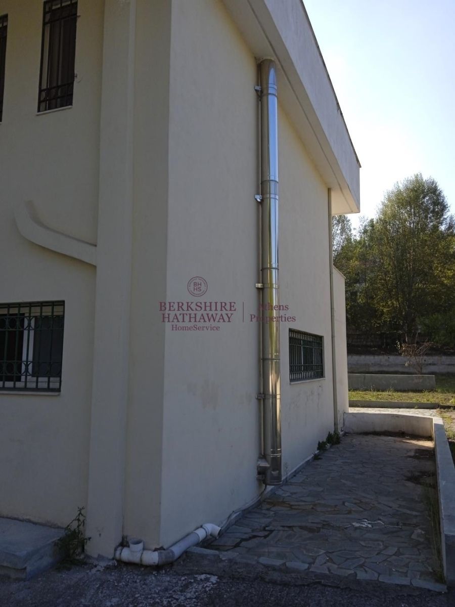 4020 m² Plot