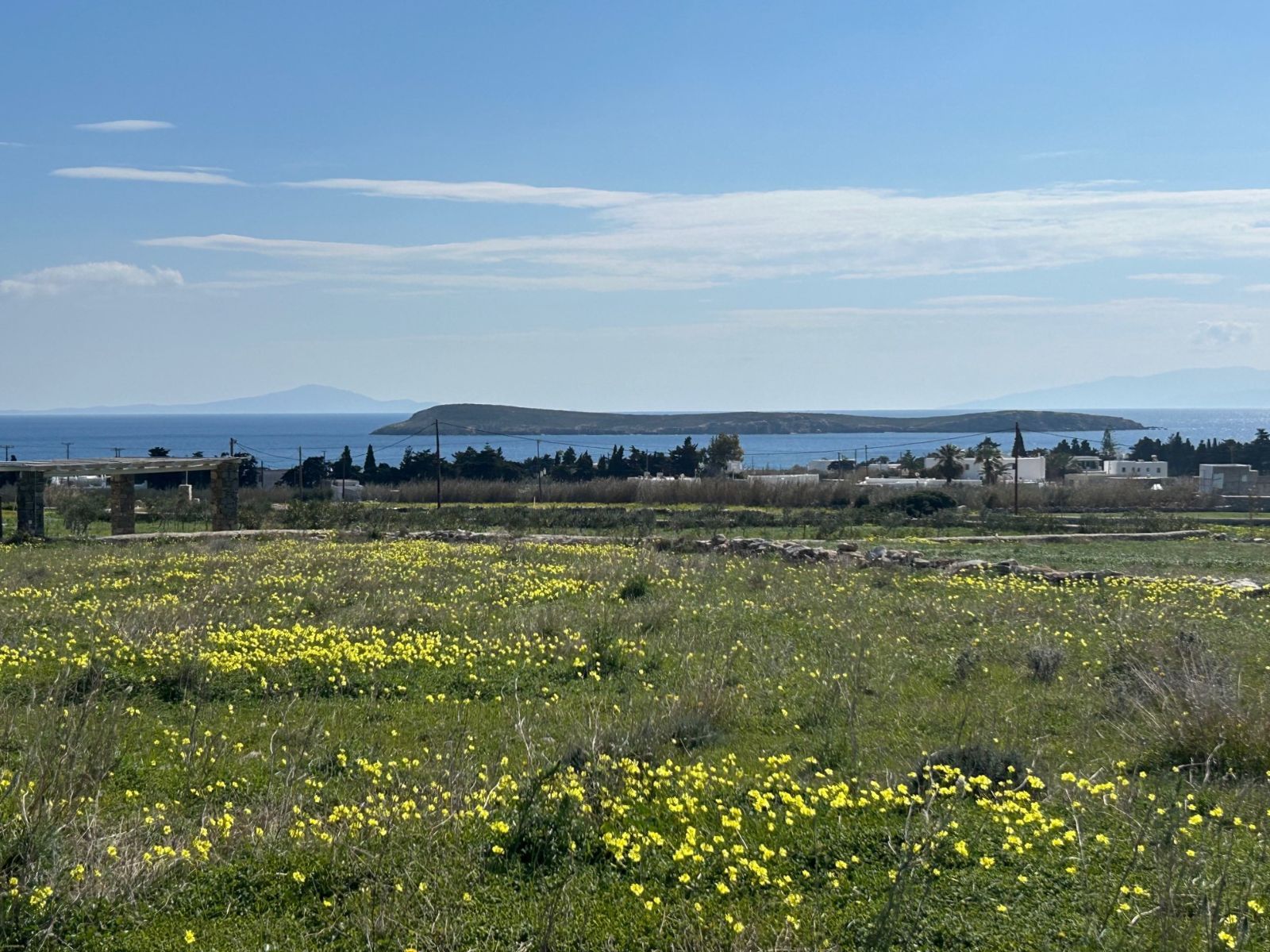 4000 τ.μ. Αγροτεμάχιο