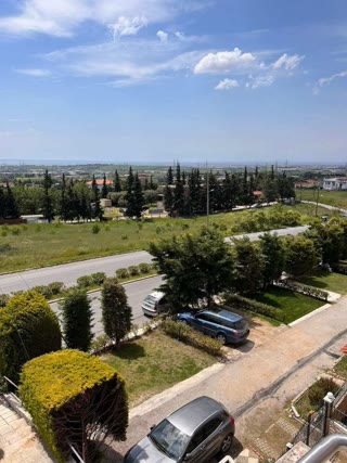 3200 m² Plot