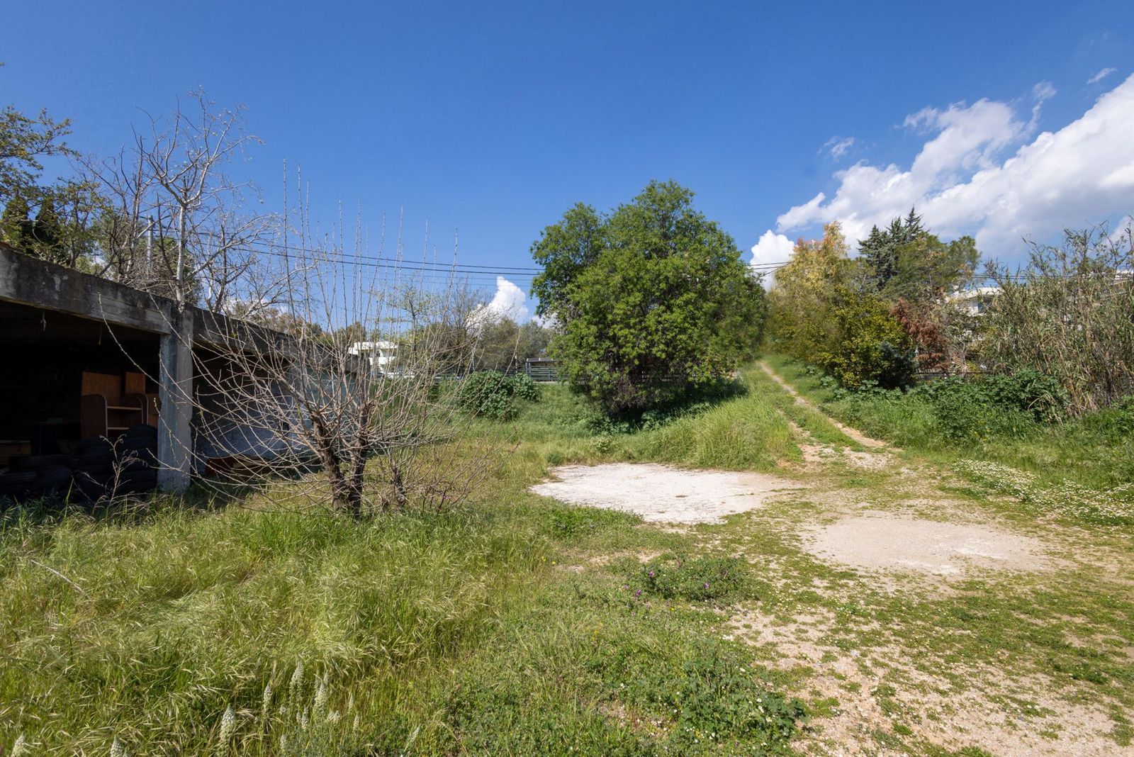 Οικόπεδο 1350 τ.μ.