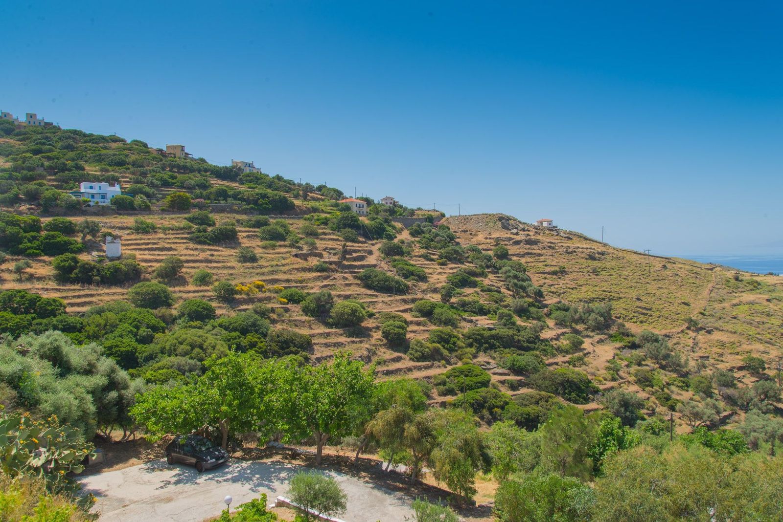 4020 m² Plot