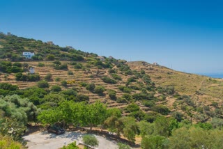 4020 m² Plot
