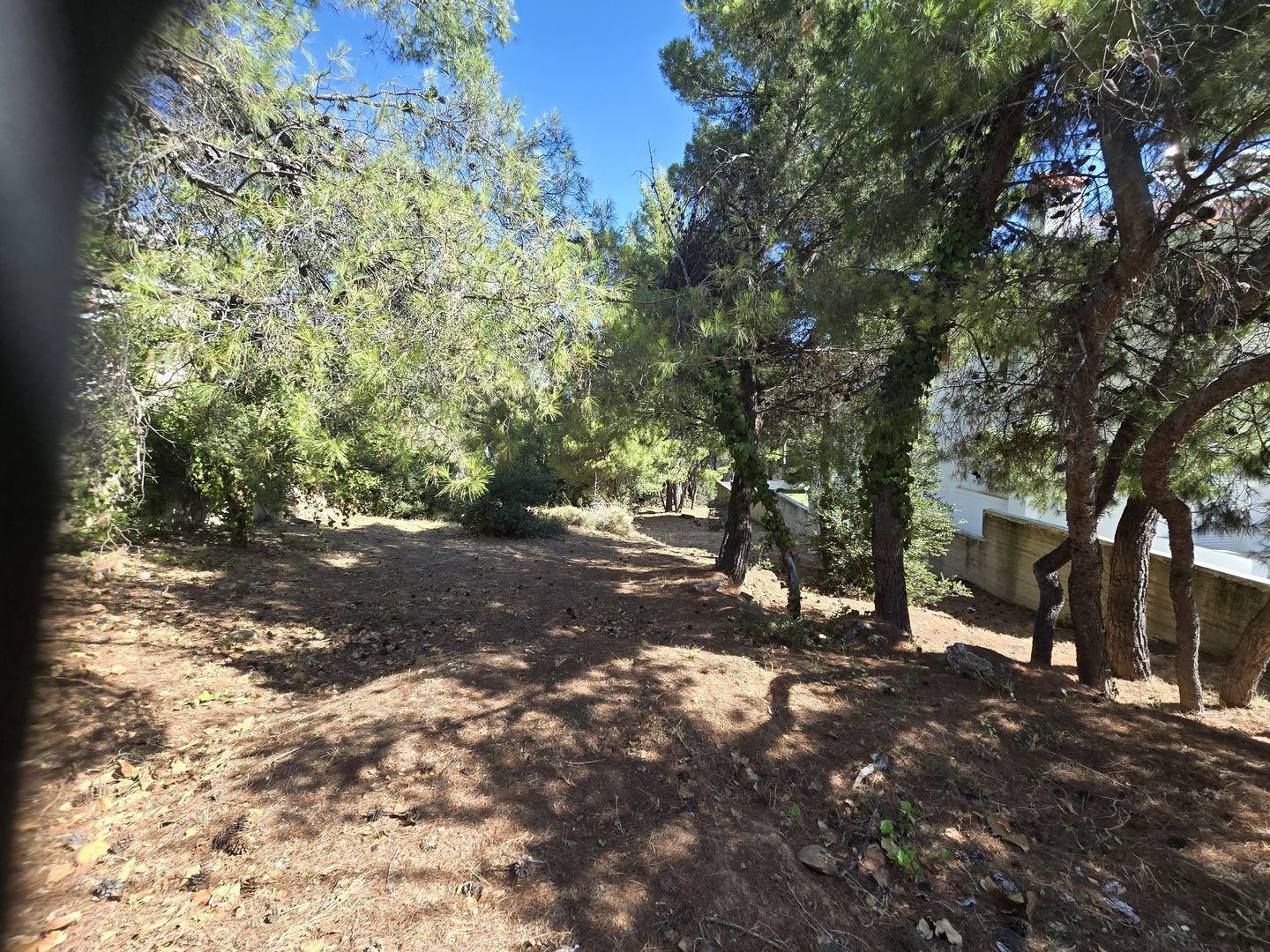 800 m² Plot