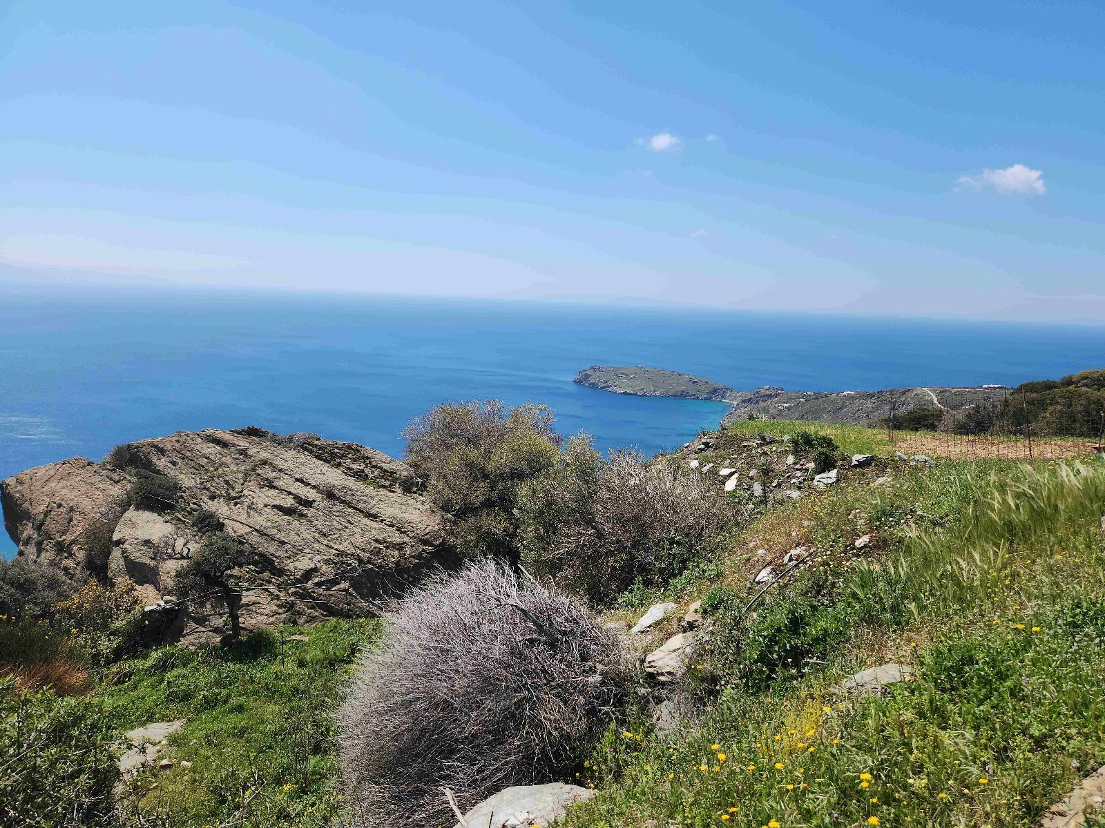 Αγροτεμάχιο 12447 τ.μ.