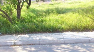 434 m² Plot