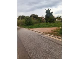 2600 m² Plot