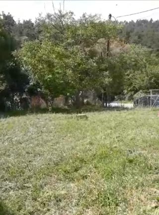 532 m² Plot