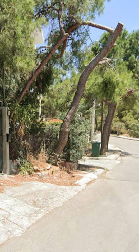 611 m² Plot