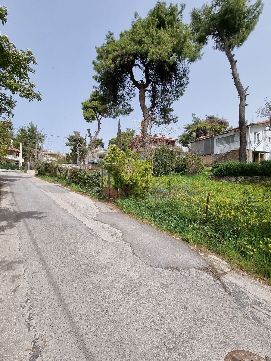 Οικόπεδο 870τ.μ.