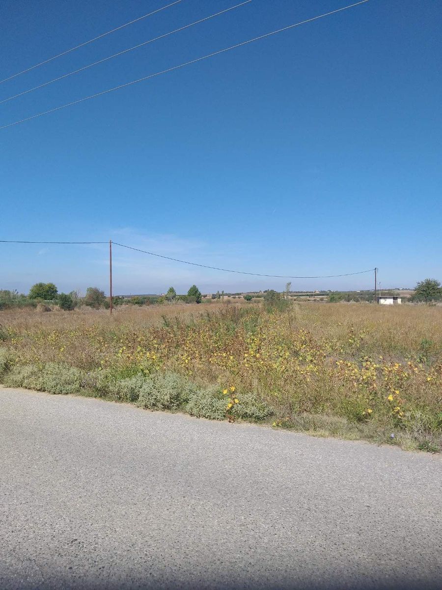 Участок 9000 м²