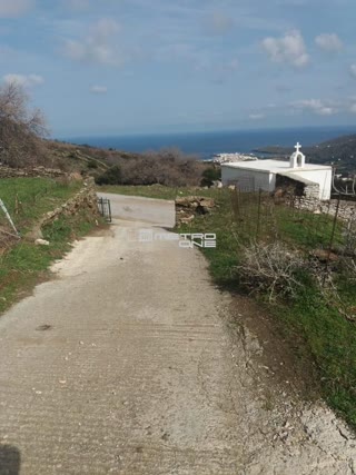 8130 m² Plot