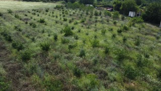 Land for sale in Marneuli
