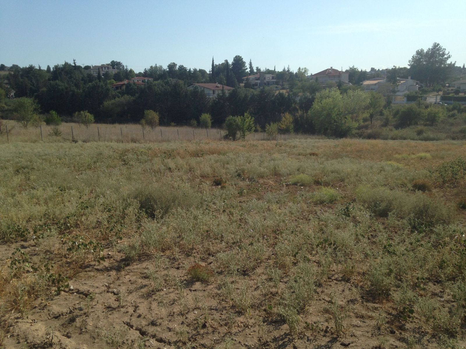 5000 m² Parcel