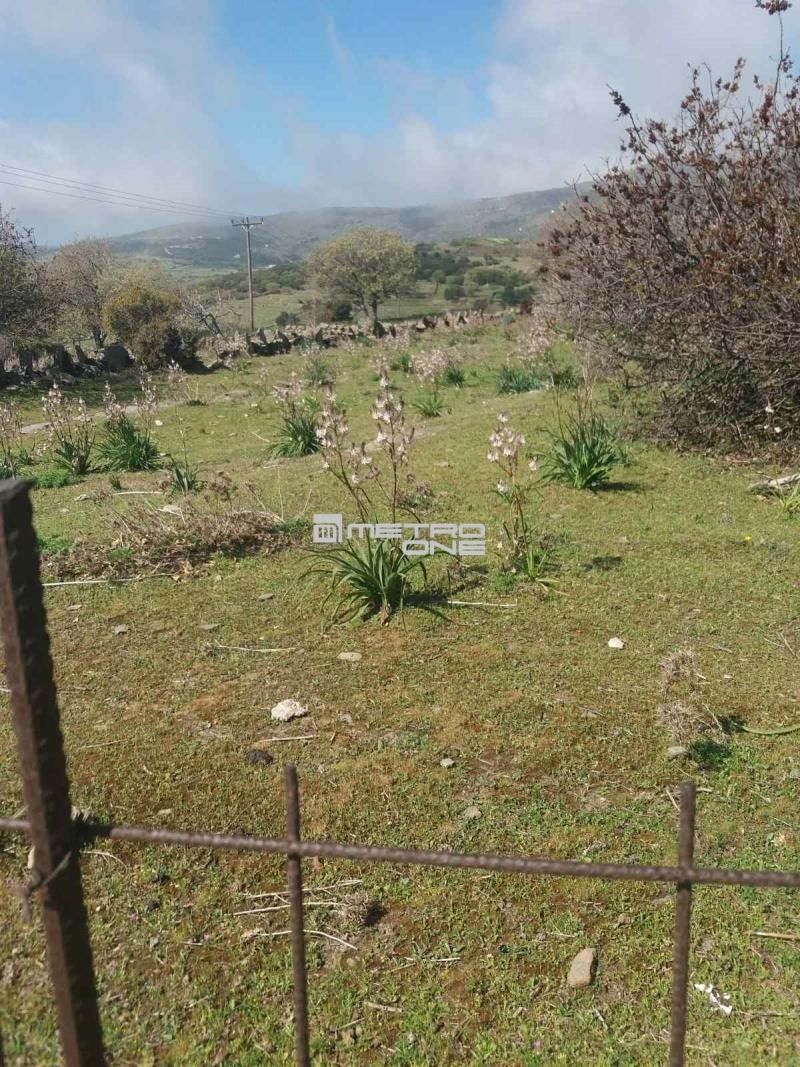 Αγροτεμάχιο 6932 τ.μ.