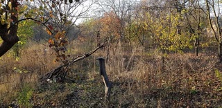 Продам дачну ділянку 6 соток в межах міста  id_43453207