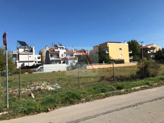 Участок 2484 м²