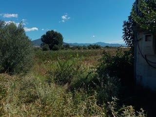 13,100 m² Parcel