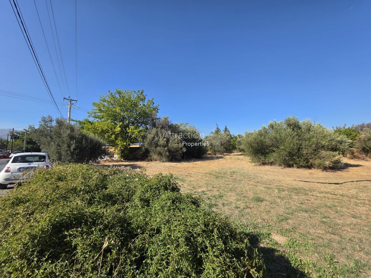 3003 m² Plot