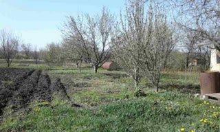 Plot in the garden community “Volodar”