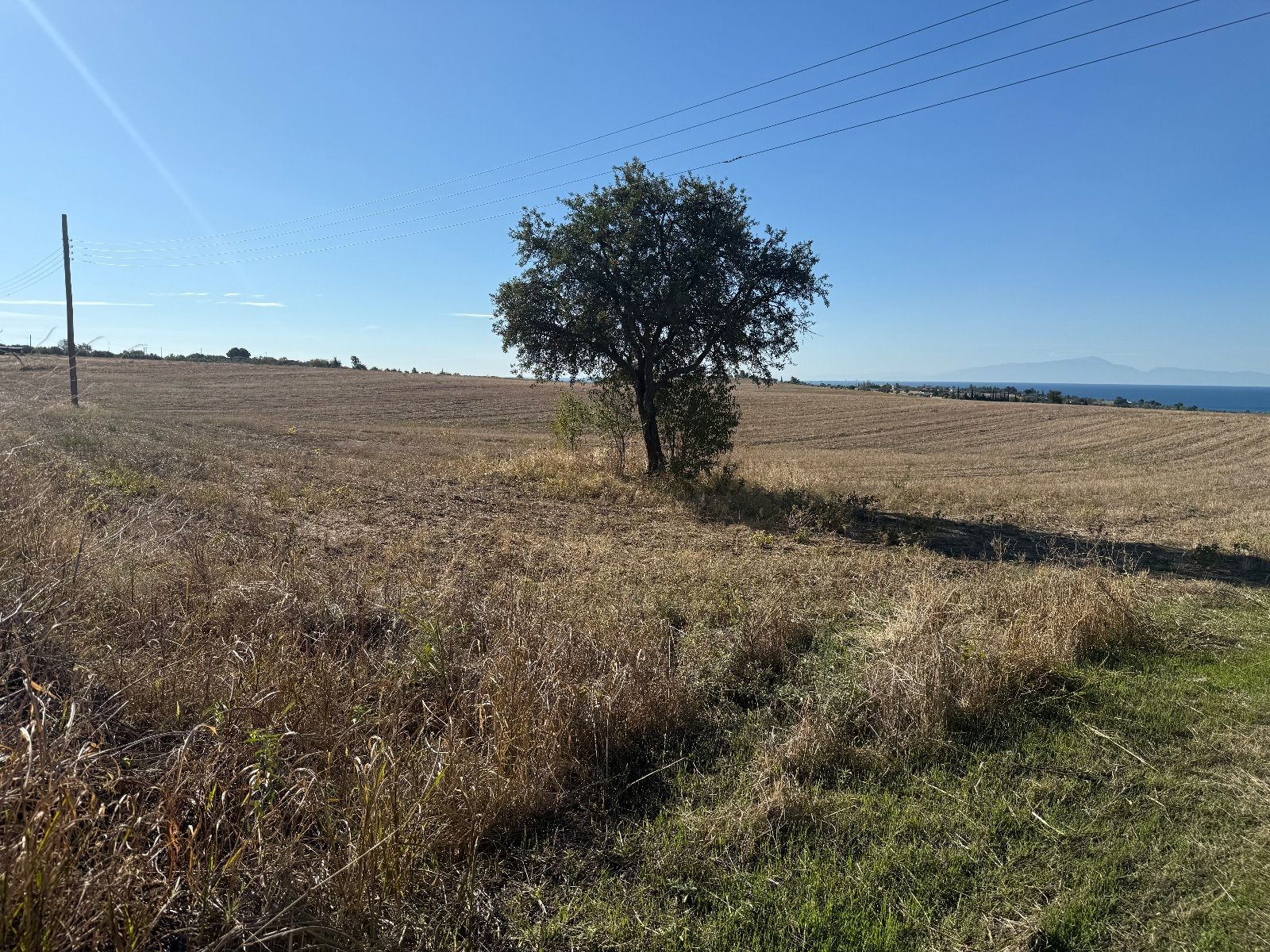 Parcel of 8333 m²
