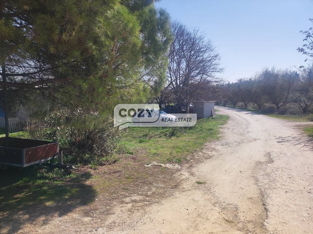 Αγροτεμάχιο 9190τ.μ.