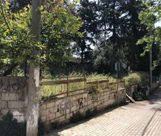 317 m² Plot