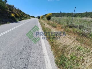 16000 m² Parcel