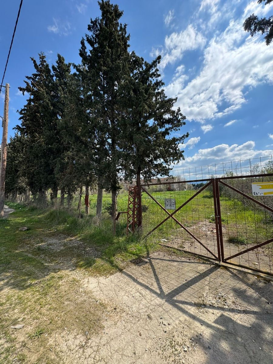 20,000 m² Plot