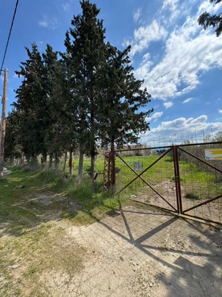 20,000 m² Plot