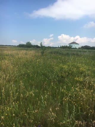 Plot for residential development Cherkaska Lozova