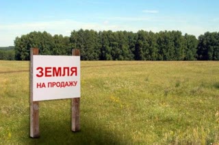 Участок на полі чудес 2