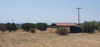 10000 m² Parcel