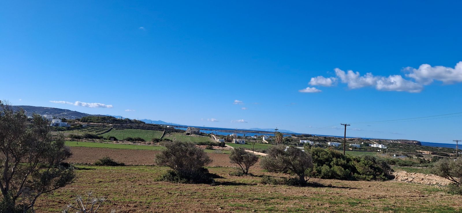 Αγροτεμάχιο 14000 τ.μ.