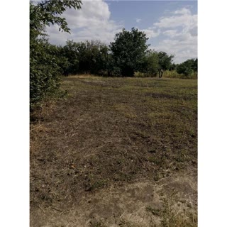 For sale: garden plot. 12 acres in the gardening association Mercy of Chuhuiv District
