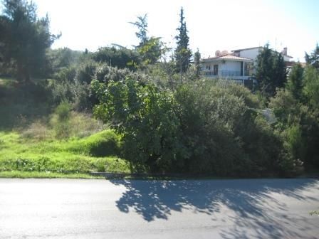 1000 m² Plot
