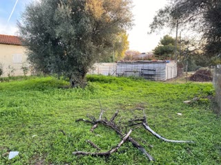 224 m² Plot