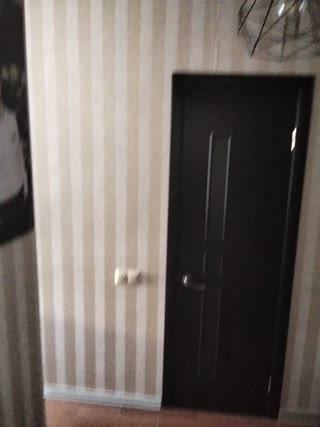 For Sale 1-room Apartment in Alekseyevka