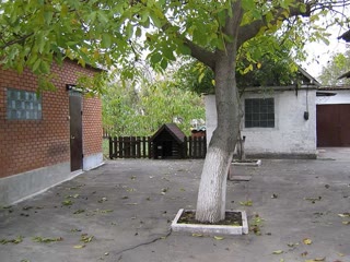 house in the center